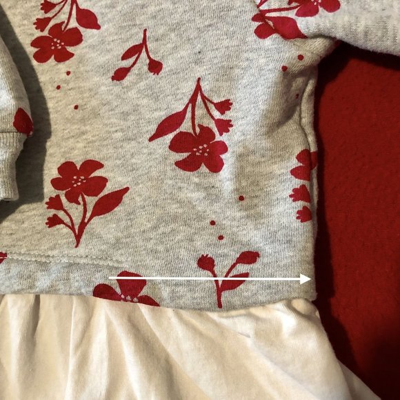 Carter's Baby Girl Hoodie Child of Mine Grey Red Flowers Cream Ruffle Sz 3-6M - Picture 5 of 6